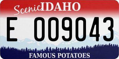 ID license plate E009043