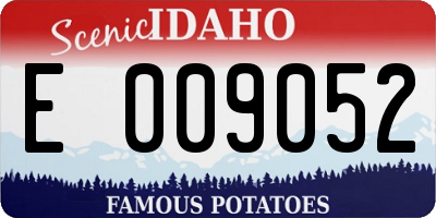 ID license plate E009052
