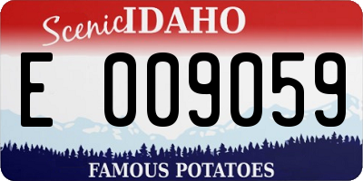 ID license plate E009059