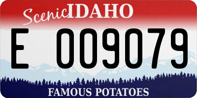 ID license plate E009079