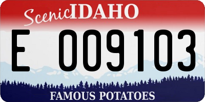 ID license plate E009103