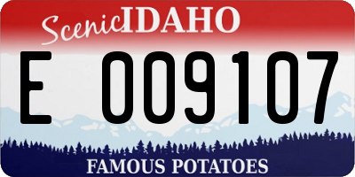 ID license plate E009107