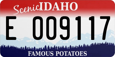 ID license plate E009117