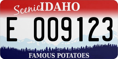ID license plate E009123