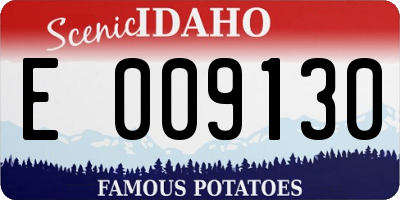 ID license plate E009130