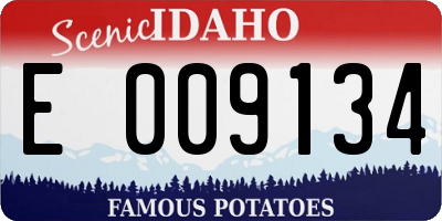 ID license plate E009134