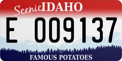 ID license plate E009137