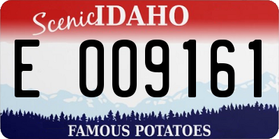 ID license plate E009161