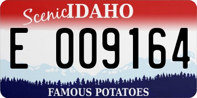 ID license plate E009164