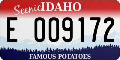 ID license plate E009172