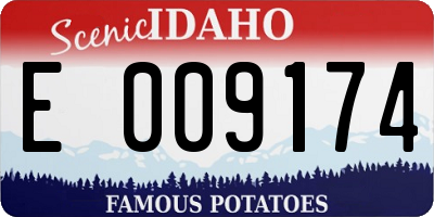 ID license plate E009174