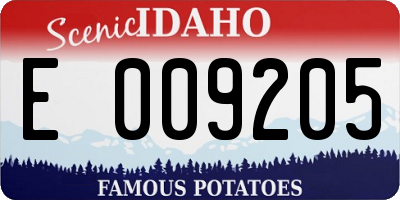 ID license plate E009205