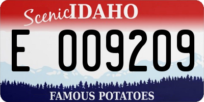 ID license plate E009209