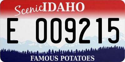 ID license plate E009215