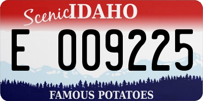 ID license plate E009225