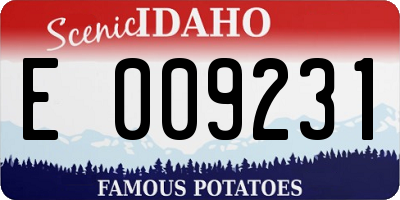 ID license plate E009231