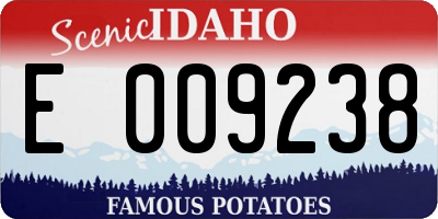 ID license plate E009238
