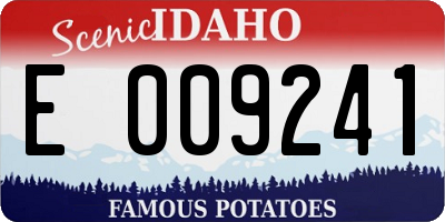 ID license plate E009241