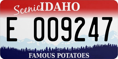 ID license plate E009247
