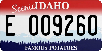 ID license plate E009260