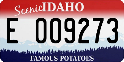 ID license plate E009273