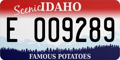 ID license plate E009289