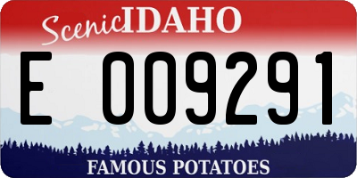 ID license plate E009291