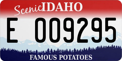 ID license plate E009295