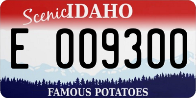 ID license plate E009300