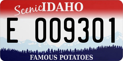 ID license plate E009301