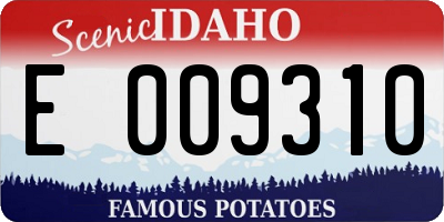 ID license plate E009310