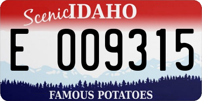 ID license plate E009315