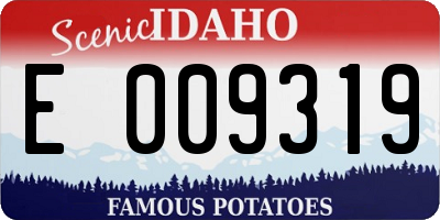 ID license plate E009319