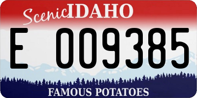 ID license plate E009385