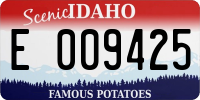 ID license plate E009425