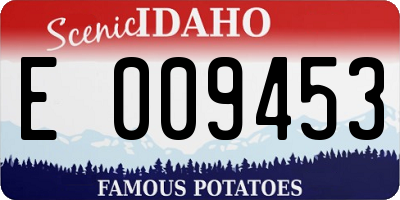 ID license plate E009453