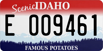 ID license plate E009461