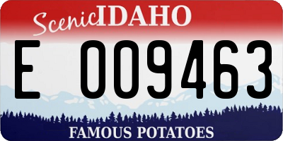 ID license plate E009463