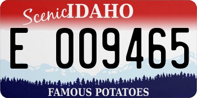 ID license plate E009465