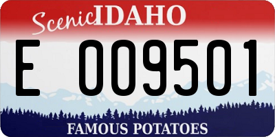 ID license plate E009501