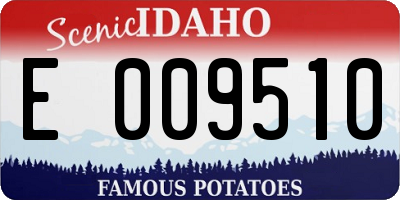 ID license plate E009510