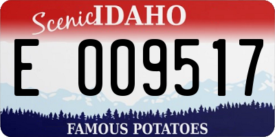 ID license plate E009517