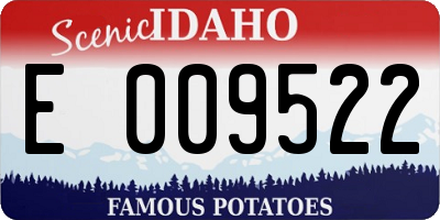 ID license plate E009522