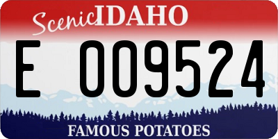 ID license plate E009524