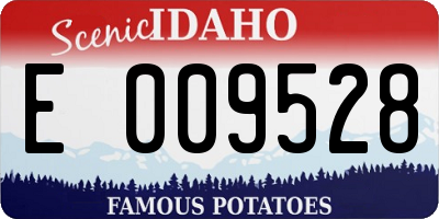 ID license plate E009528