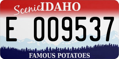 ID license plate E009537