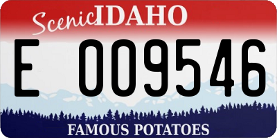 ID license plate E009546
