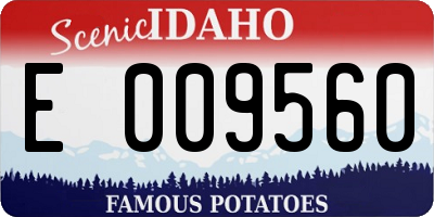 ID license plate E009560