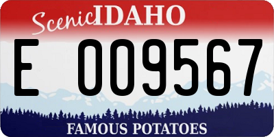 ID license plate E009567