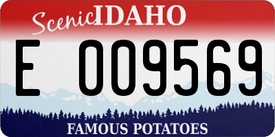 ID license plate E009569